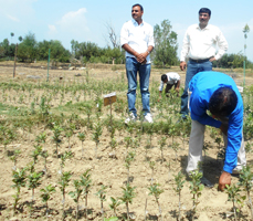 baramulla-02-29082016