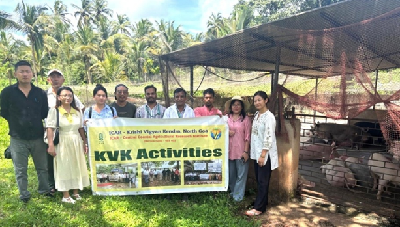 ICAR–KVK North Goa Organises In-Service Training on Scientific Pig Farming for Technology Manager Officials of Nagaland