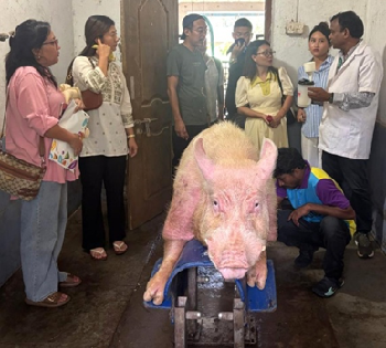 ICAR–KVK North Goa Organises In-Service Training on Scientific Pig Farming for Technology Manager Officials of Nagaland