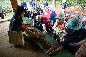 ccarigoa-03-13122022