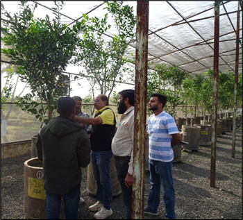 CitriHub Empowers Emerging Citrus Nursery Entrepreneurs in Central India