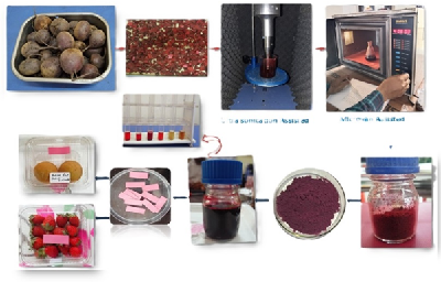 ICAR-CIAE, Bhopal Develops Bio-Based Intelligent Indicators for Quality Monitoring During Post-Harvest Value Chain