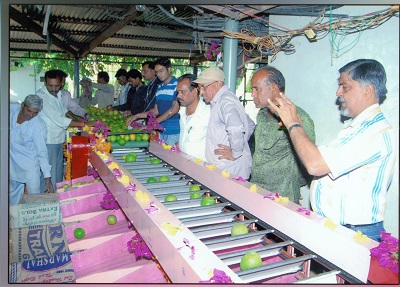 ciae_success_story_commercial_scale_fruit_grader_2_0