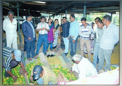 ciae_success_story_commercial_scale_fruit_grader_5