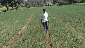 ciae_success_storys_1