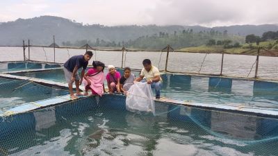 ICAR-CIFRI, Barrackpore Empowers Tribal Women through Scientific Cage Culture at Umiam Reservoir, Meghalaya