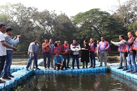 cifri-01-191202022_0