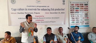 cifri-02-191202022_0