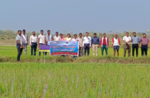 Location-Specific Production Technologies Transform Rice-Based Farming and Water Productivity in a Tribal Cluster of Odisha