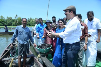 ICAR-CMFRI’s Stock Enhancement Initiative Boosts Black Clam Production in Vembanad Lake