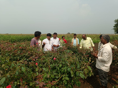 ICAR-CRIDA, Hyderabad KVK Ranga Reddy Organizes Skill Development Programme on Sustainable Horticulture under SCSP