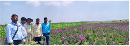 ICAR-DFR, Pune Launches Awareness Drive on Balanced Fertiliser Use in Pune District