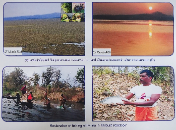 ICAR- Directorate of weed Research, Jabalpur completely cleared the Salvinia infested approximately 1100 hectares of the Satpura Water Reservoir at Satpura Thermal Power Station (STPS) in Sarni and 20 ha pond in Katni district of Madhya Pradesh within 18 months through strategic release and periodic monitoring of insect bio-agent Cyrtobagus salviniae. In addition, this technology helped in restoring ecological equilibrium and brought about a positive transformation in the livelihoods of local fishermen who had suffered from decreased fishing opportunities due to the dense weed cover. This success story highlights the effectiveness of integrating biological control methods with socio-economic considerations for the sustainable management of aquatic ecosystems. (Source: ICAR- Directorate of weed Research, Jabalpur)