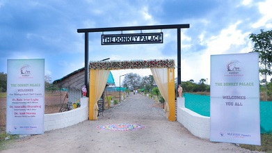 establishing-India's-largest-donkey-farm-02.jpg 