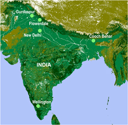 evaluation-experiments-wheat-germplasm
