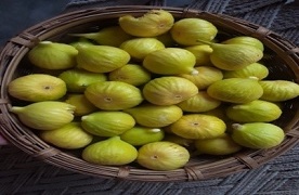 Fig Cultivation: Pursuit of Profit in Thar Region of Rajasthan