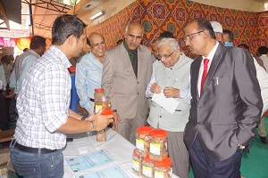 foundation-02-12062022