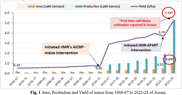 Golden Grains of Change: How Maize is Powering a Rural Revolution in Assam