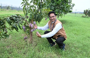 Mango Field Day Organized at ICAR-IARI