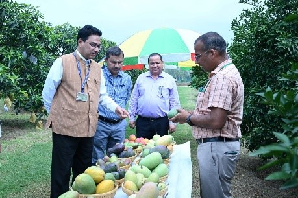 Mango Field Day Organized at ICAR-IARI