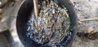 icar-neh-05-03022021