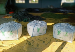 Turning Orchard Waste into Winter Feed: Apple Pomace–Based Silage for Sustainable Livestock Production for lean periods in temperate region India