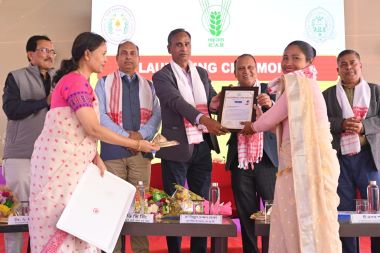 Phase-III of Mega Project on Rapeseed–Mustard Launched to Boost Toria–Mustard Production in Assam