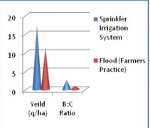 kvk-hamirpur-05-22092020