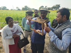 kvkhameripur-01-11022022