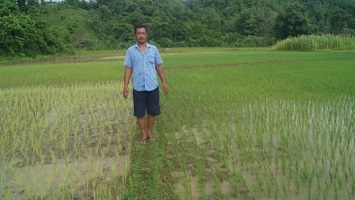 livelihood-Mizoram-02_0.jpg