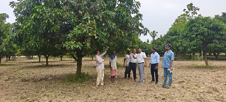 ICAR-MGIFRI, Motihari Advances Scientific Nutrient Management in Mango Orchards under Khet Bachao Abhiyan–2026