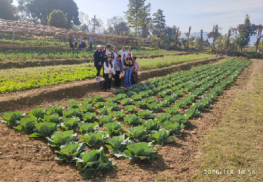 51st Foundation Day Marked by Women Empowerment through Oyster Mushroom Training in Arunachal Pradesh
