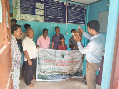 ICAR–KVK, North & Middle Andaman Conducts Field Day on Oyster Mushroom Cultivation