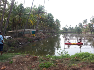 mussel-SS-12-09-2014-1-s