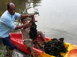 mussel-SS-12-09-2014-2