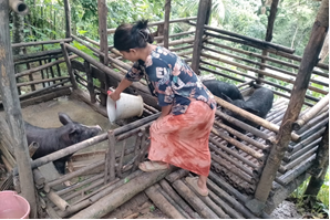 From Subsistence to Sustainability: A Woman-Led Integrated Farming Success Story from Longleng, Nagaland