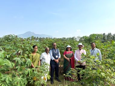 ICAR–NBAIR Showcases Breakthrough in Biological Control of Cassava Mealybug in India