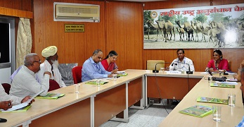 Integrating Camel Eco-tourism with Rural Culture and Tradition