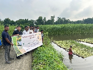 Field Level Demonstration on Retting Accelerator NINFET-Sathi