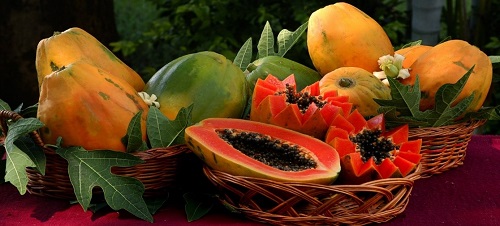 papaya