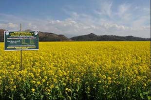 pd-zerotell-02-06012015