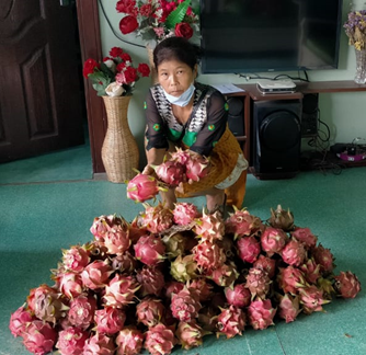 Agri–Horti–Livestock Based Integrated Farming System: A Pathway to Higher Farm Profitability for Tribal Farmers in Mizoram