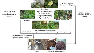 Agri–Horti–Livestock Based Integrated Farming System: A Pathway to Higher Farm Profitability for Tribal Farmers in Mizoram