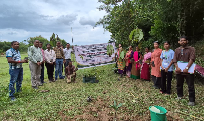 ICAR-RCER Multitier Farming Technology Transforms Upland Agriculture in Tripura