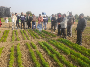 Participatory Seed Production Workshop organized at ICAR-RCER, Patna