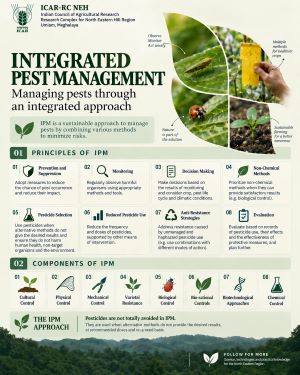 Integrated Pest Management: A Sustainable Approach to Responsible Pest Management