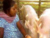 sabita3-CARI-SUcess-story