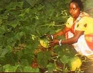 sabita4-CARI-SUcess-story