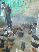 smaller_grapes_due-02-08072016