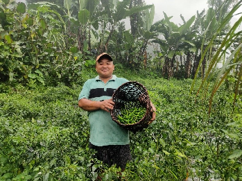 ha Heartland: A Success Story of Organic Chilli Cultivation in Sikkim Himalaya